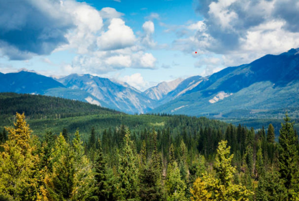 Dense evergreen pine forest filling a valley floor in front of towering blue-grey mountain peaks under a dynamic sky with scattered white clouds.